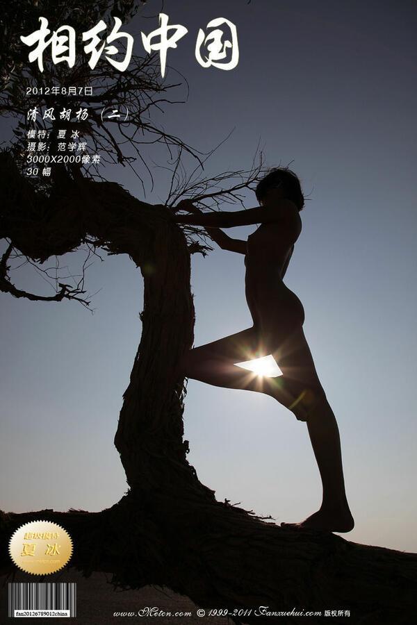 相约中国 夏冰《清风胡杨 2》